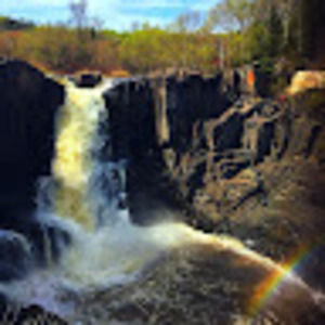 Meet your Posher, Brock